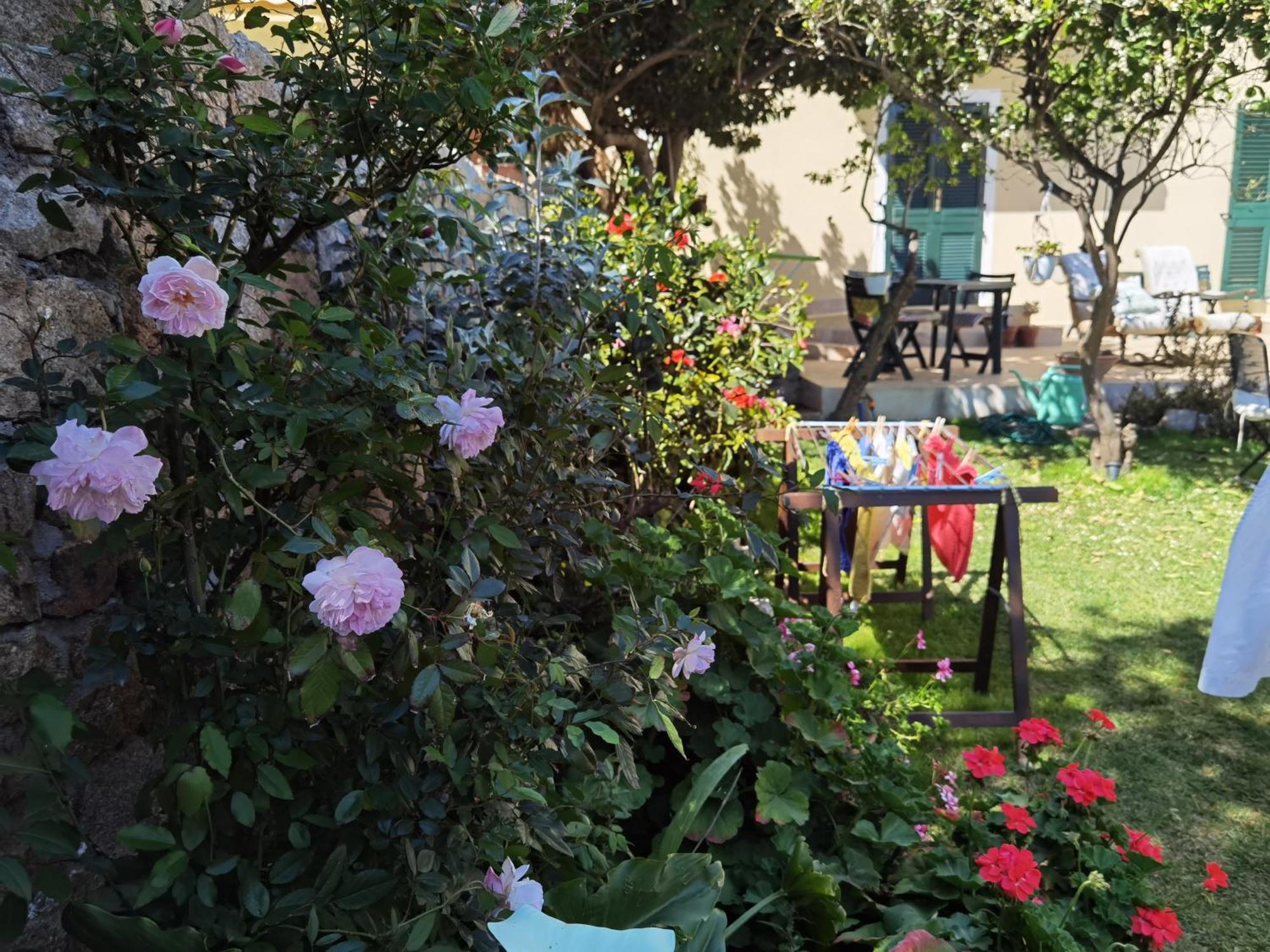 Il Giardino Di Tatiana Rooms & Breakfast 马达莱纳 客房 照片